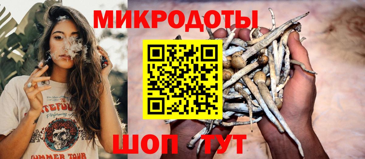 Галлюциногенные грибы Cubensis Новошахтинск