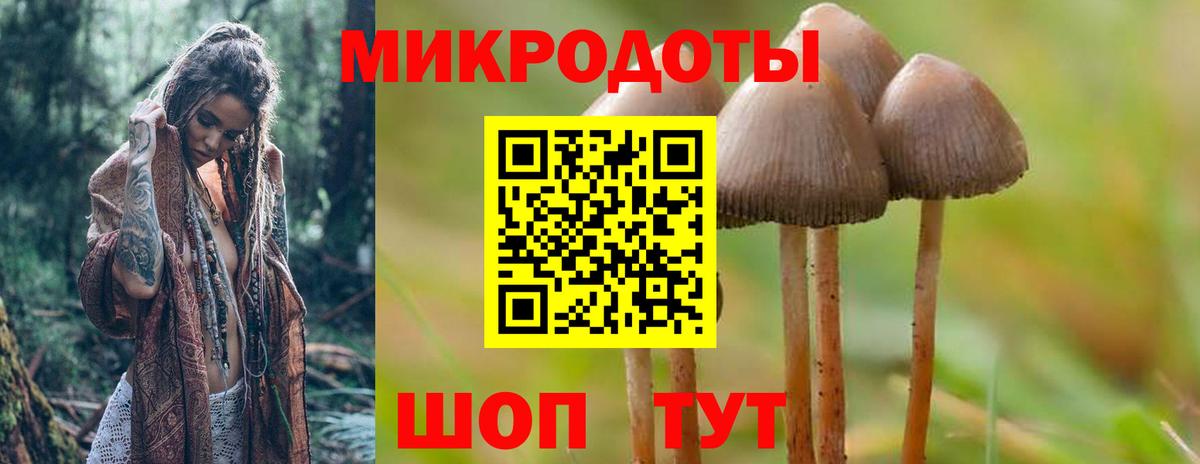 закладки  Вход с VPN  Новошахтинск  Галлюциногенные грибы Magic Shrooms 
